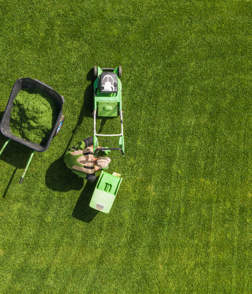 Backyard Garden Lawn Mowing And Maintenance Aerial 2023 11 27 05 21 43 Utc